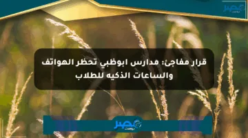 قرار مفاجئ: مدارس أبوظبي تحظر الهواتف والساعات الذكية للطلاب